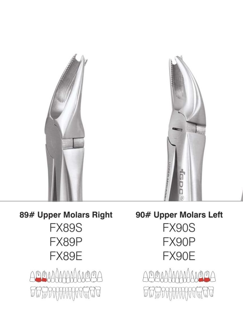 Maxillary Cow Horn Forcep