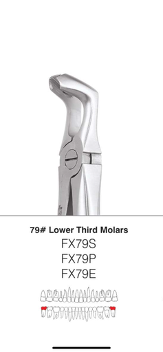 Mandibular 3rd Molar Forcep
